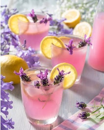 Lady Lavender